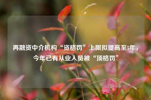 再融资中介机构“资格罚”上限拟提高至5年，今年已有从业人员被“顶格罚”