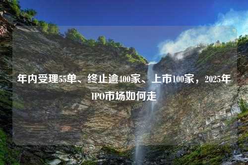 年内受理55单、终止逾400家、上市100家，2025年IPO市场如何走