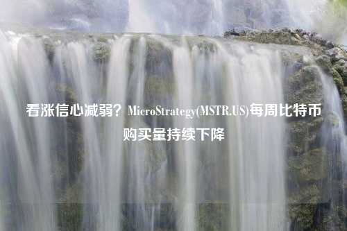 看涨信心减弱？MicroStrategy(MSTR.US)每周比特币购买量持续下降