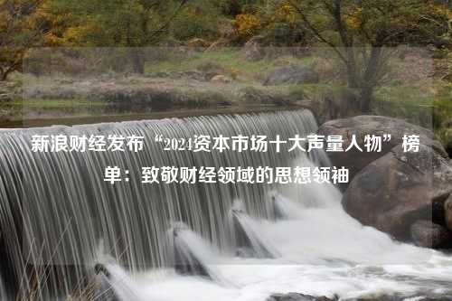 新浪财经发布“2024资本市场十大声量人物”榜单：致敬财经领域的思想领袖