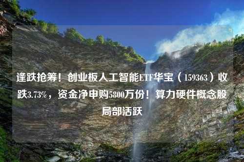 逢跌抢筹！创业板人工智能ETF华宝（159363）收跌3.73%，资金净申购5800万份！算力硬件概念股局部活跃