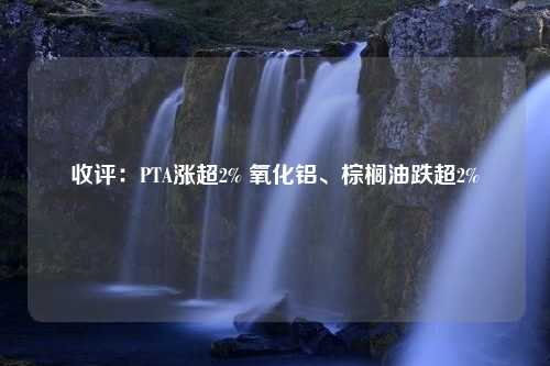 收评：PTA涨超2% 氧化铝、棕榈油跌超2%