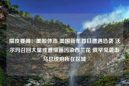 隔夜要闻：美股休市 美国新年首日遭遇恐袭 沃尔玛召回大量或遭细菌污染西兰花 俄罕见袭击乌总统府所在区域