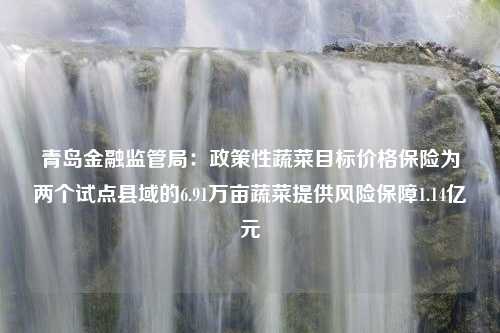 青岛金融监管局：政策性蔬菜目标价格保险为两个试点县域的6.91万亩蔬菜提供风险保障1.14亿元