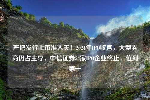 严把发行上市准入关！2024年IPO收官，大型券商仍占主导，中信证券54家IPO企业终止，位列第一