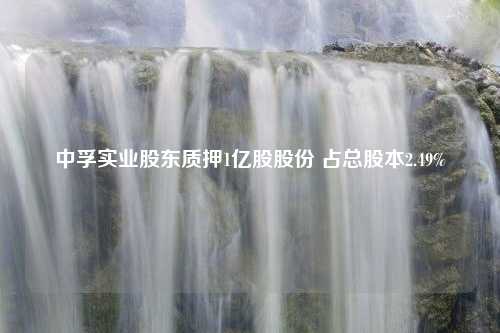 中孚实业股东质押1亿股股份 占总股本2.49%