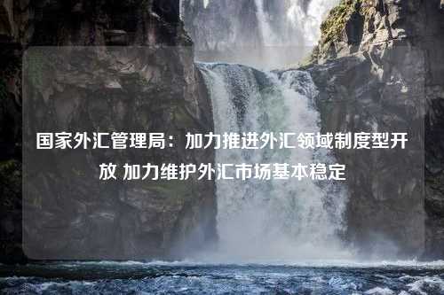 国家外汇管理局：加力推进外汇领域制度型开放 加力维护外汇市场基本稳定