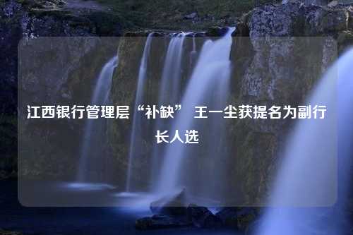 江西银行管理层“补缺” 王一尘获提名为副行长人选