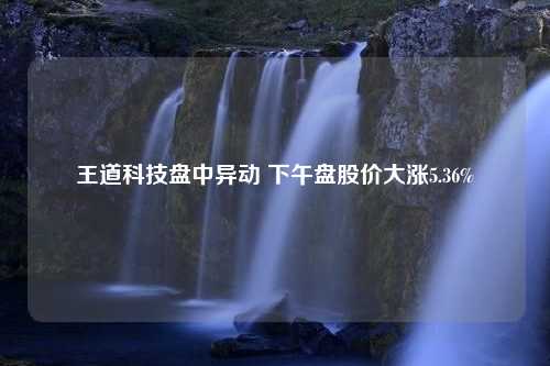 王道科技盘中异动 下午盘股价大涨5.36%