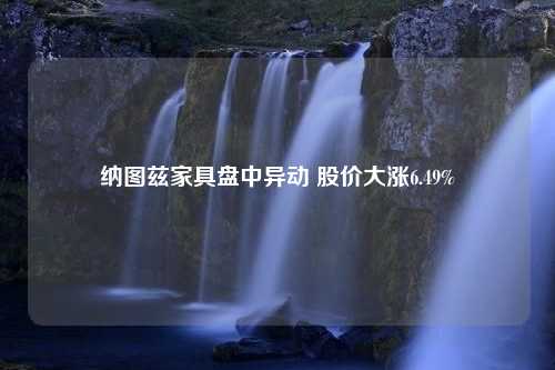 纳图兹家具盘中异动 股价大涨6.49%