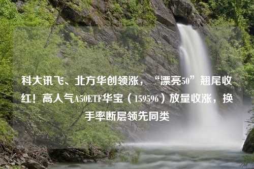 科大讯飞、北方华创领涨，“漂亮50”翘尾收红！高人气A50ETF华宝（159596）放量收涨，换手率断层领先同类