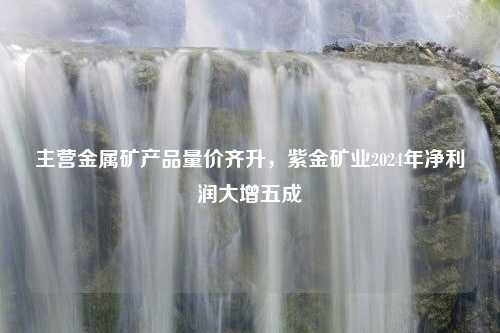 主营金属矿产品量价齐升，紫金矿业2024年净利润大增五成