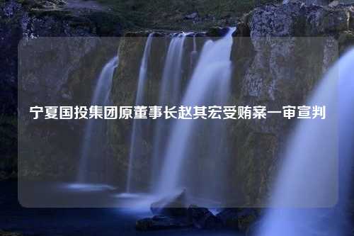 宁夏国投集团原董事长赵其宏受贿案一审宣判