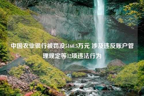 中国农业银行被罚没5160.5万元 涉及违反账户管理规定等12项违法行为