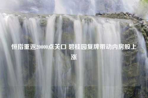 恒指重返20000点关口 碧桂园复牌带动内房股上涨