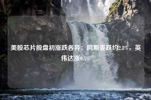 美股芯片股盘初涨跌各异：阿斯麦跌约2.8%，英伟达涨0.5%