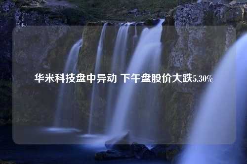 华米科技盘中异动 下午盘股价大跌5.30%