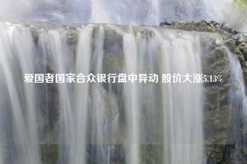 爱国者国家合众银行盘中异动 股价大涨5.13%