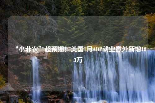 “小非农”超预期！美国1月ADP就业意外新增18.3万