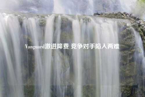 Vanguard激进降费 竞争对手陷入两难