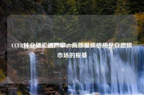 CCER林业碳汇遇严审，高质量碳信用是自愿碳市场的根基