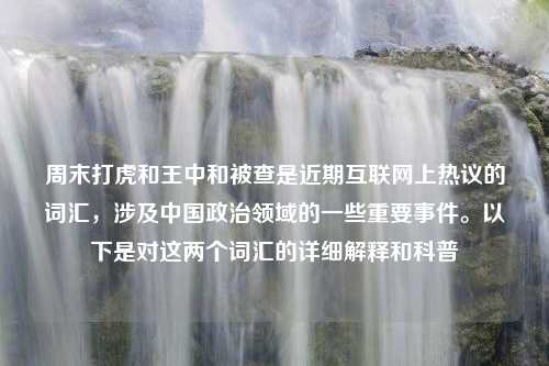 周末打虎和王中和被查是近期互联网上热议的词汇，涉及中国政治领域的一些重要事件。以下是对这两个词汇的详细解释和科普