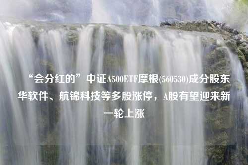 “会分红的”中证A500ETF摩根(560530)成分股东华软件、航锦科技等多股涨停，A股有望迎来新一轮上涨