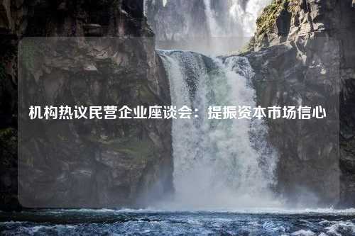 机构热议民营企业座谈会：提振资本市场信心