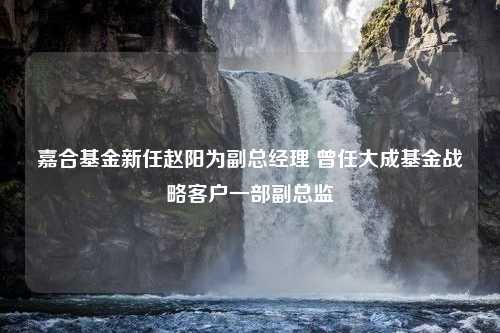 嘉合基金新任赵阳为副总经理 曾任大成基金战略客户一部副总监