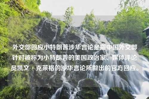 外交部回应小特朗普涉华言论是指中国外交部针对被称为小特朗普的美国政治家、媒体评论员凯文·克莱格的涉华言论所做出的官方回应。