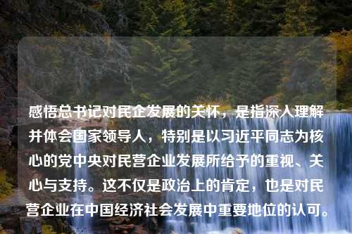 感悟总书记对民企发展的关怀，是指深入理解并体会国家领导人，特别是以习近平同志为核心的党中央对民营企业发展所给予的重视、关心与支持。这不仅是政治上的肯定，也是对民营企业在中国经济社会发展中重要地位的认可。