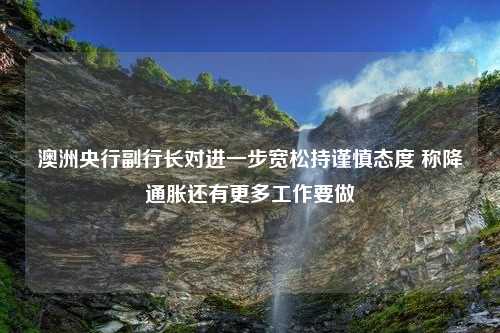 澳洲央行副行长对进一步宽松持谨慎态度 称降通胀还有更多工作要做